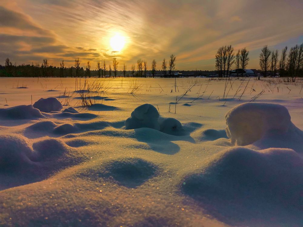 Photograph by Indre Stulgaite