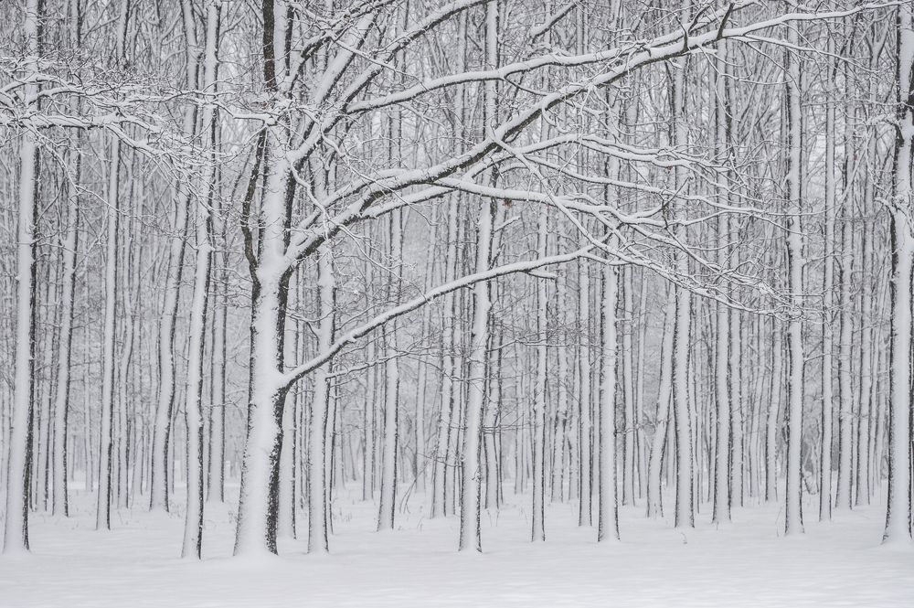 Photograph by Indre Stulgaite