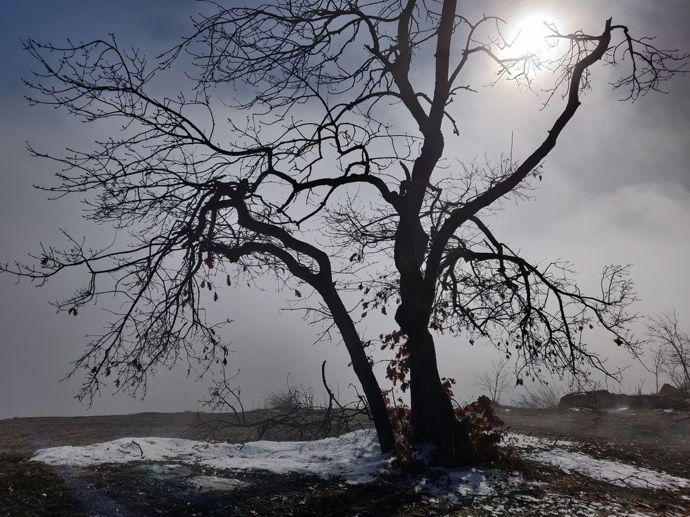 Photograph by Татьяна Белгарокова