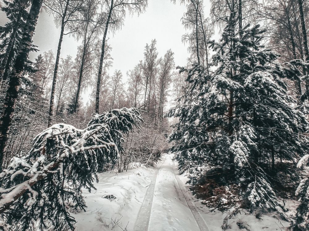 Photograph by Алексей Молчан