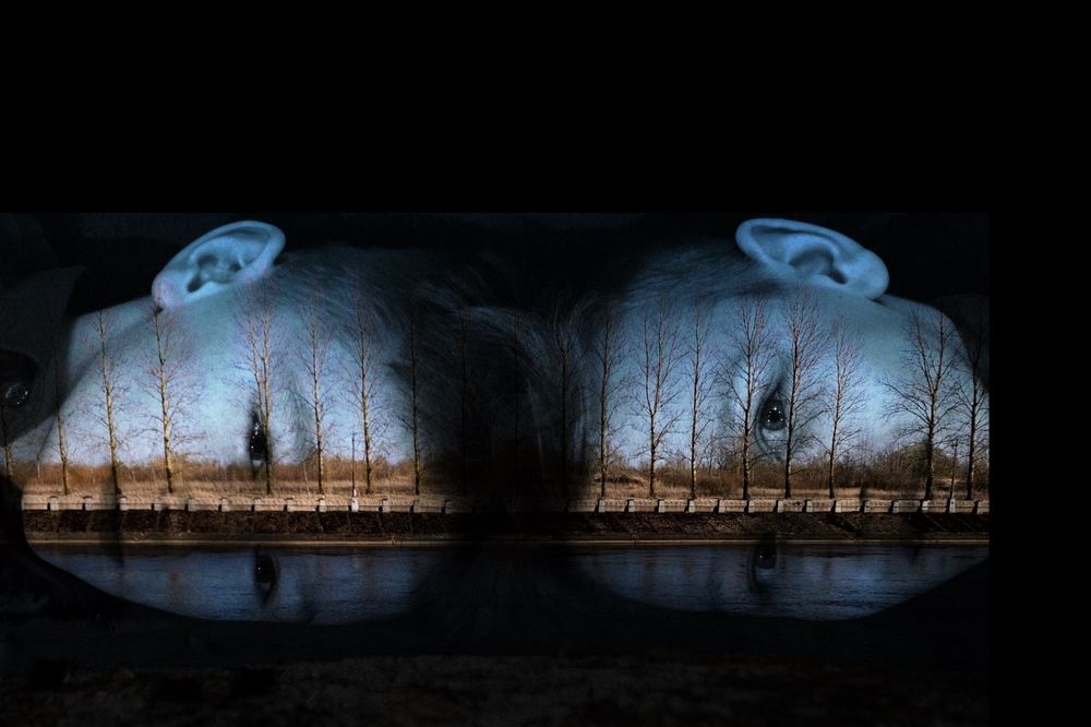 Photograph by Нина Никонорова