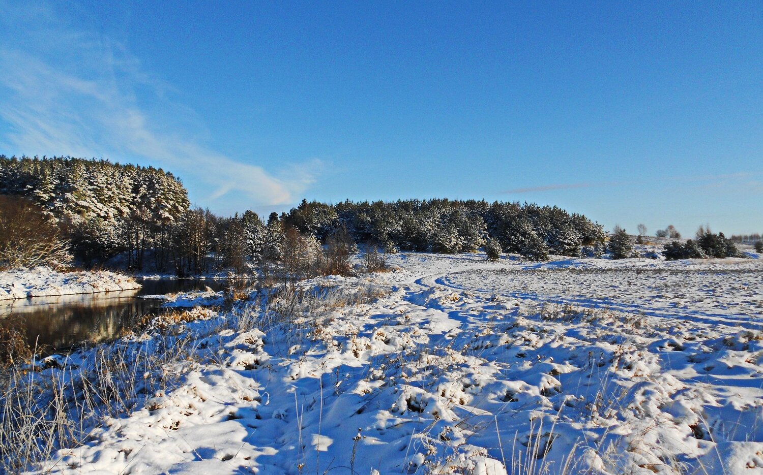 Photo #5726399