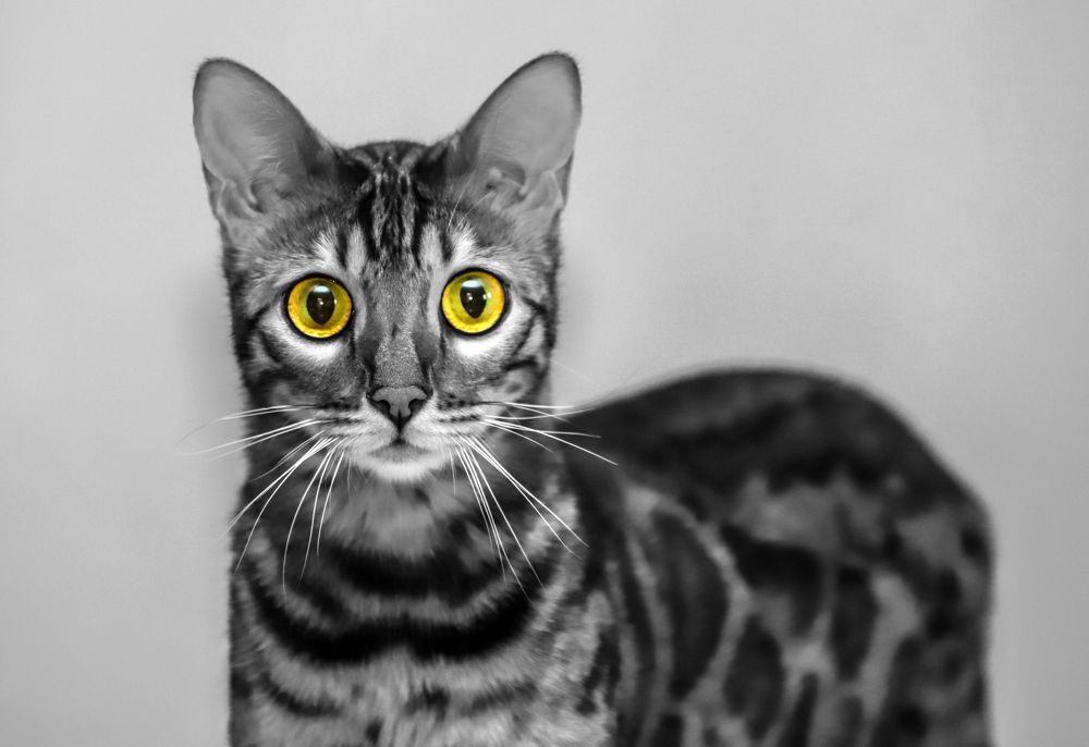 Photograph by Indre Stulgaite