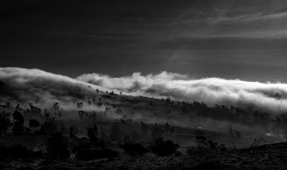 Photograph by Nicolas Alemán