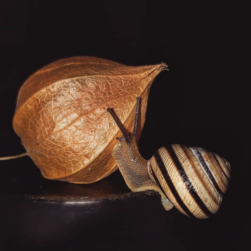 Photograph by Елена Твардовськая