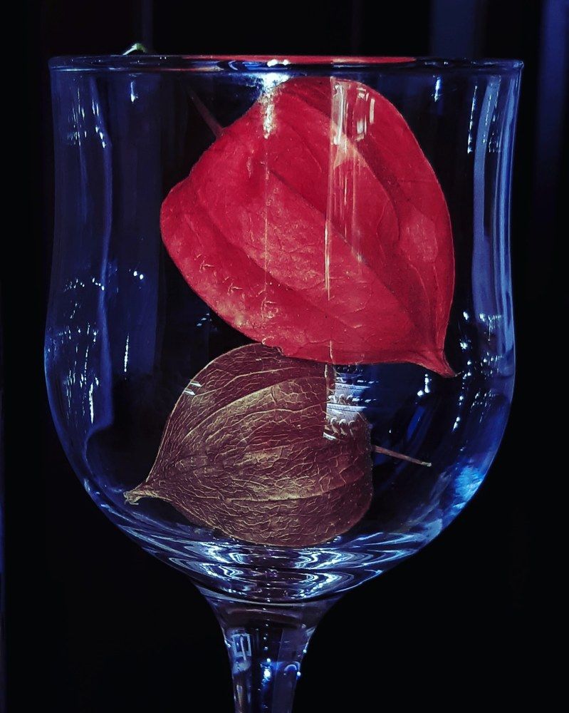 Photograph by Елена Твардовськая