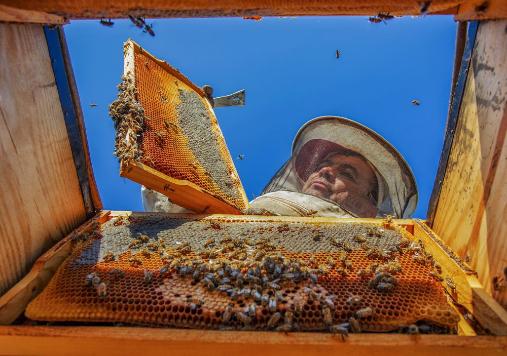 Photograph by hasan guzel