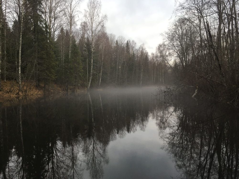 Photograph by Александр Зуев