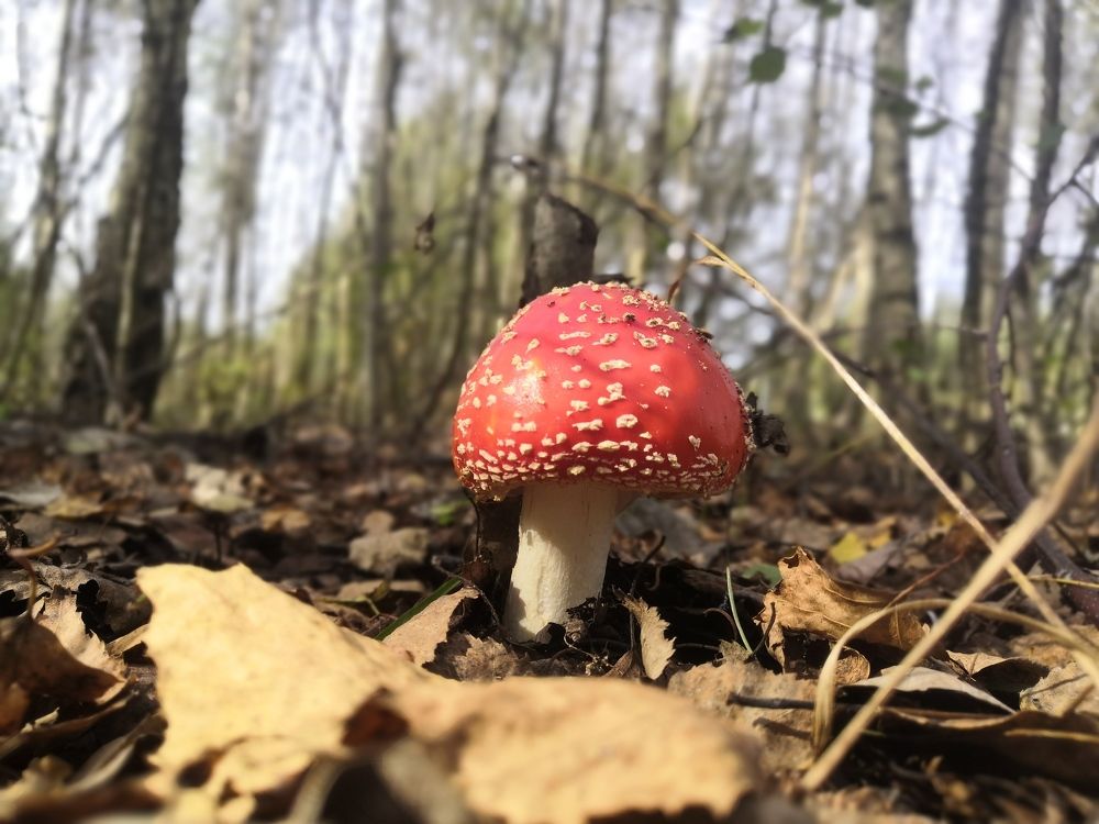 Photograph by Анна Коцур