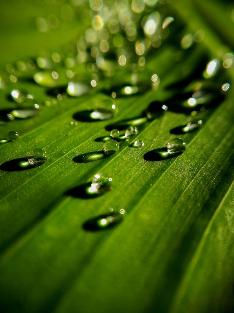 Фотография автора Юлия Вычужанина