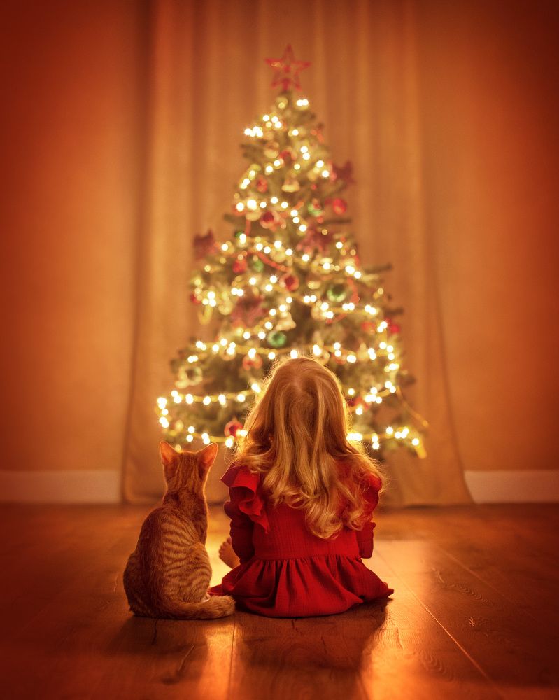 Photograph by Надежда Юркова