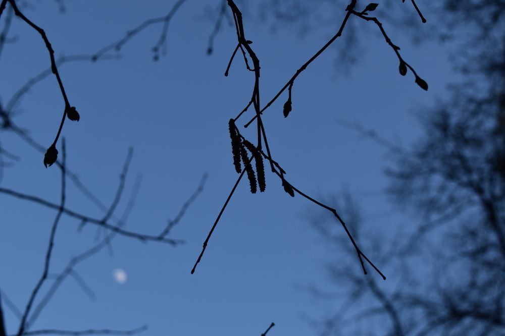 Photograph by Сергей Головин