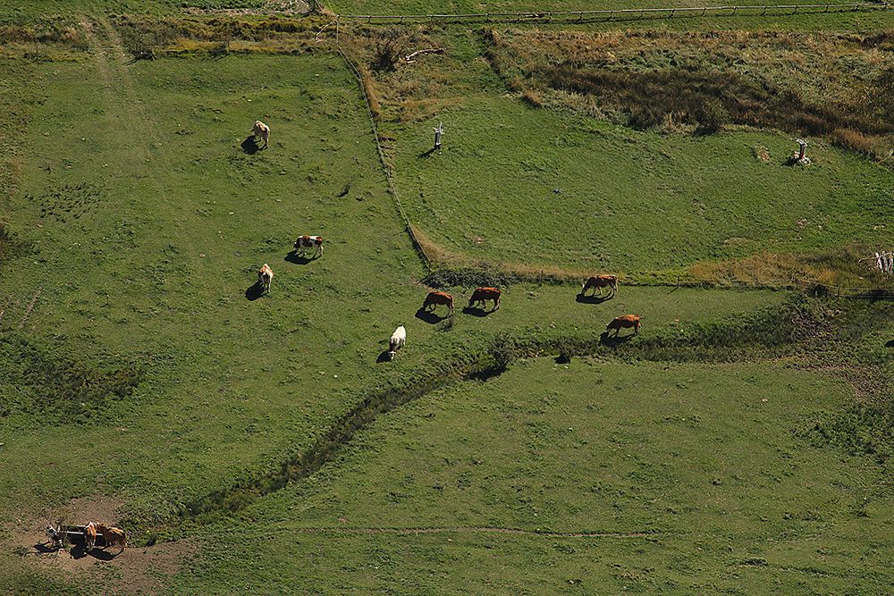 Photograph by Goran Kulezic