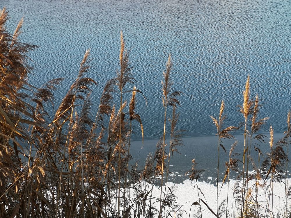 Photograph by Natali