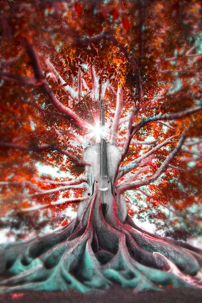 Photograph by Brayan Castillo