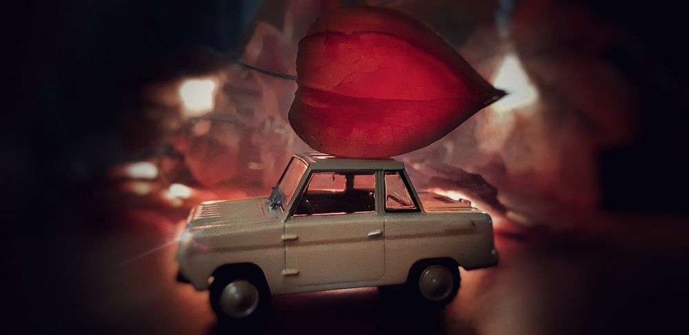 Photograph by Елена Твардовськая