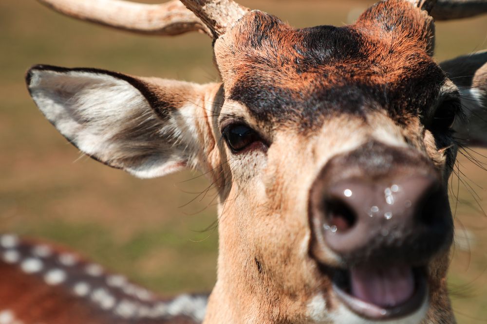 Фотография автора Evgeny Gorbunov