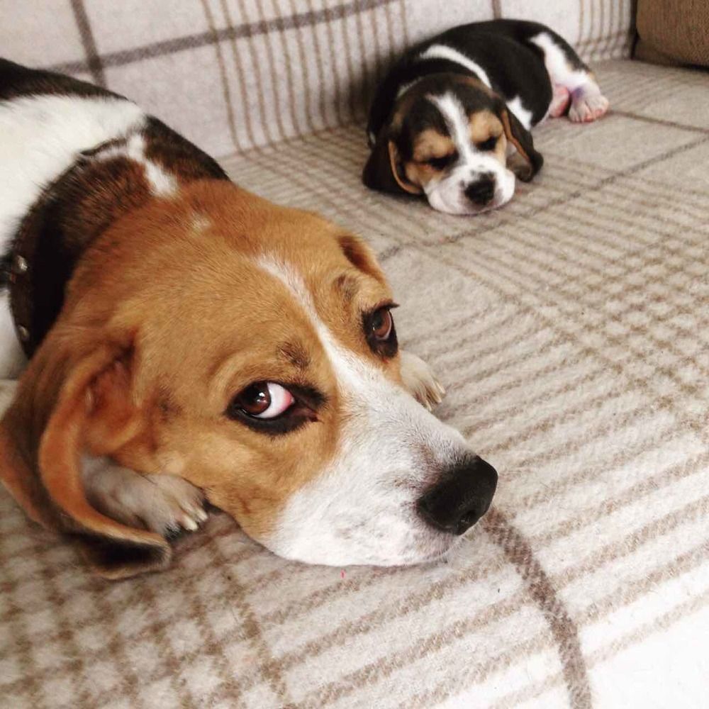 Фотография автора Анна Яковенко