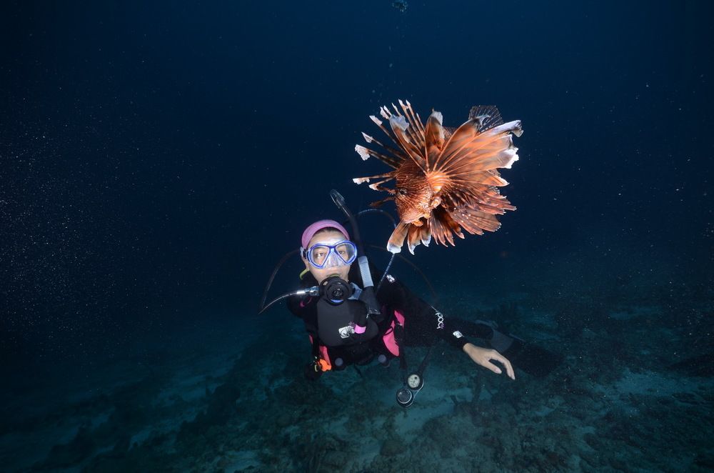 Photograph by enrique alpeñes