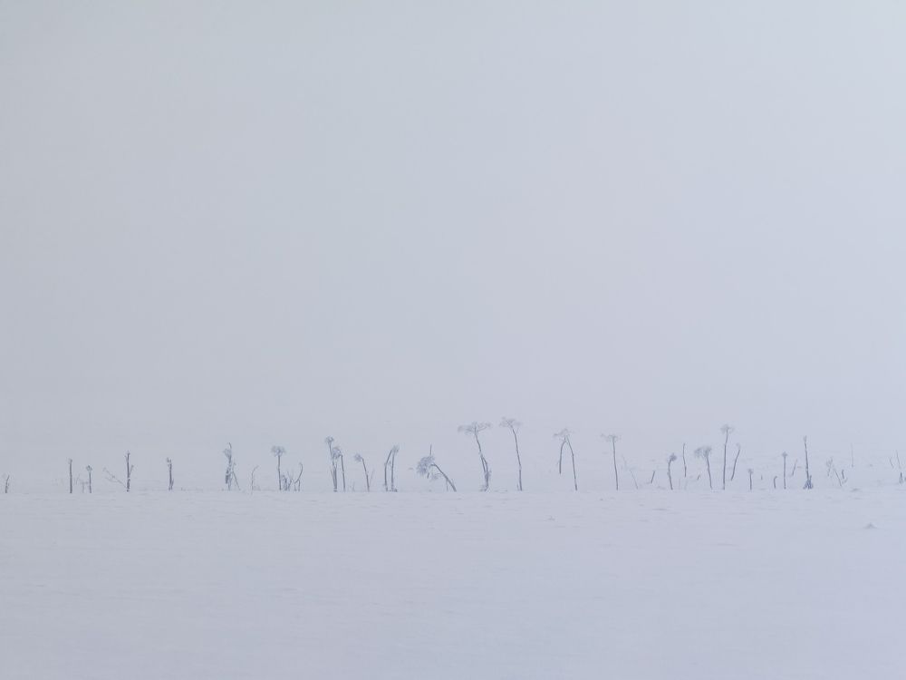 Фотография автора Максим