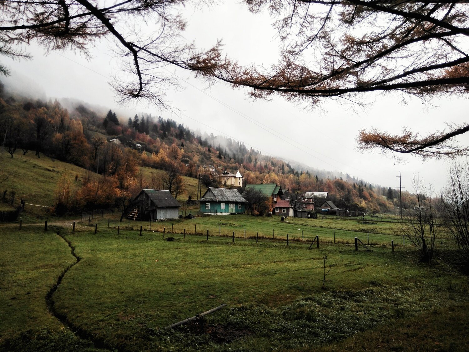 Photo #5726932