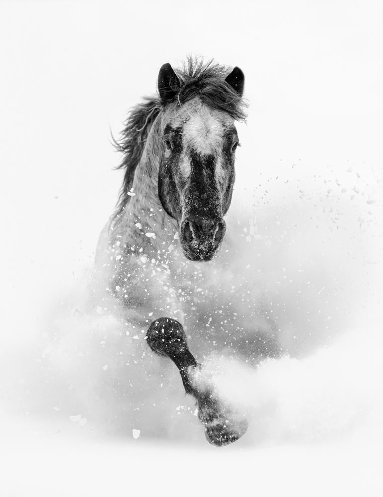 Photograph by Katarzyna Okrzesik-Mikołajek