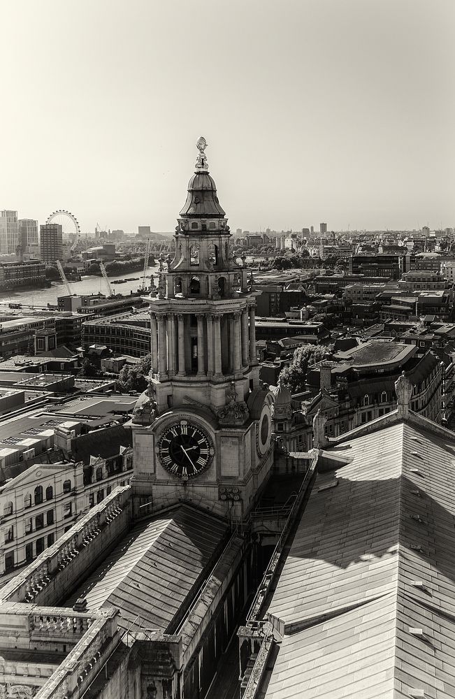 Фотография автора Sherine El Mously