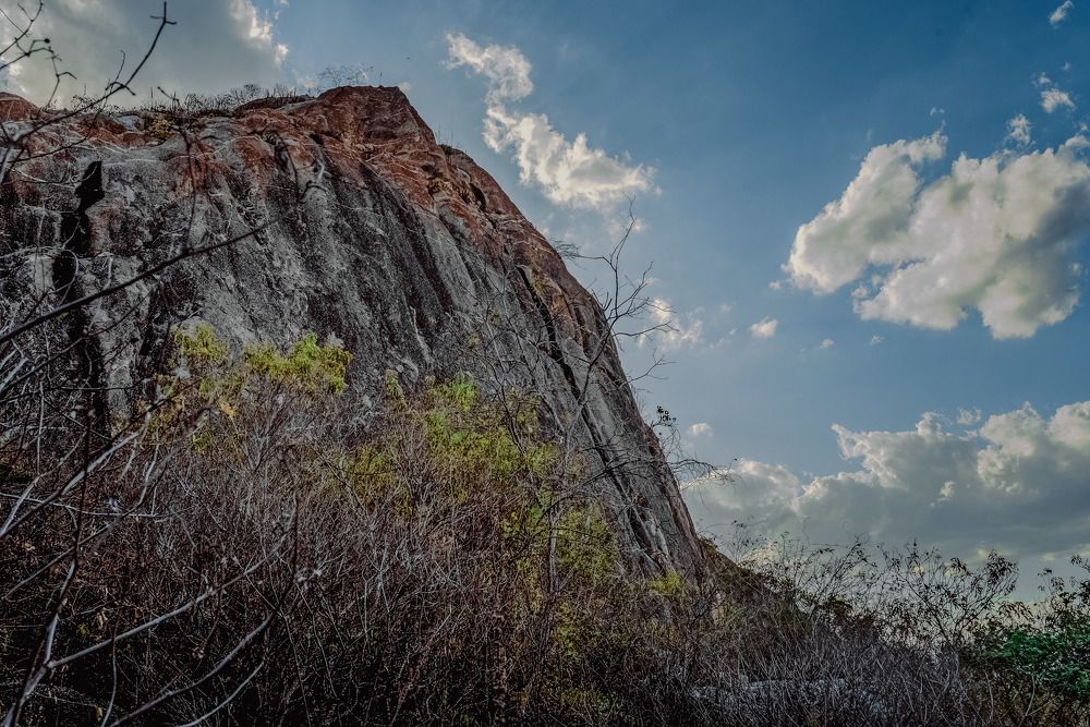 Photograph by Frederico Molini