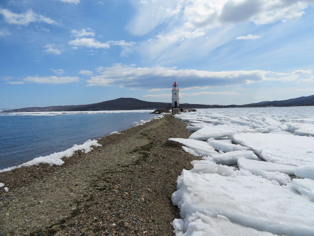 Токарёвская кошка.