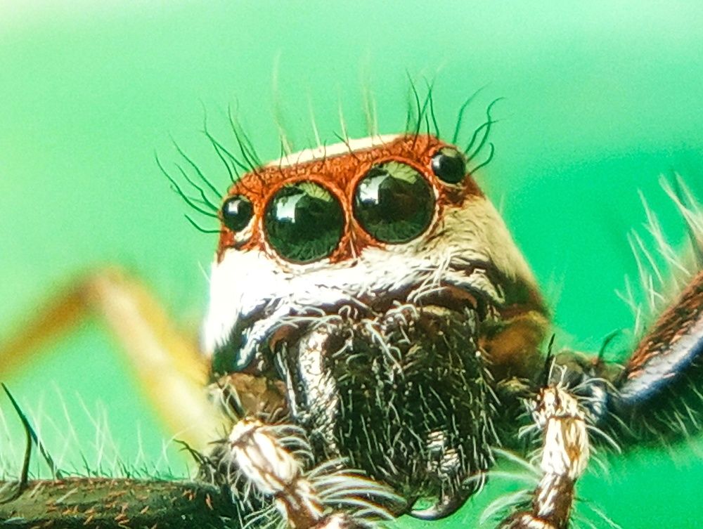 Photograph by Sayan Kundu