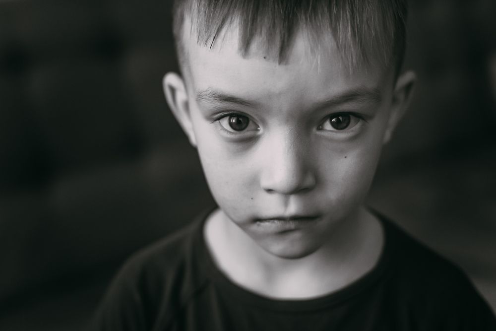 Фотография автора Дарья Шевченко