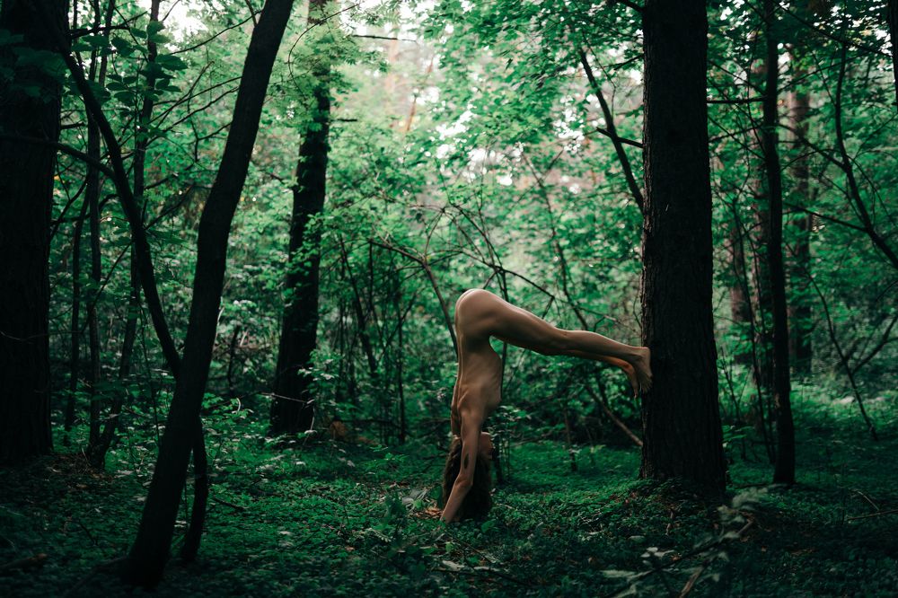 Фотография автора Dima Minakin