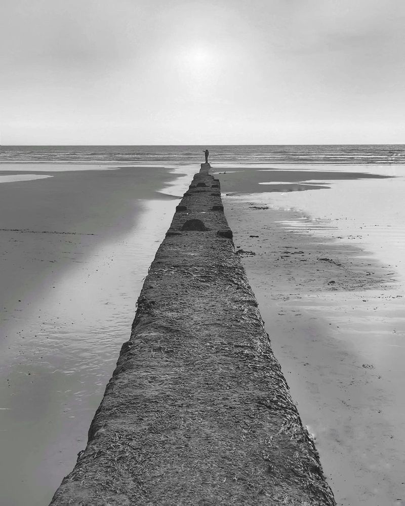 Фотография автора amal ahmed