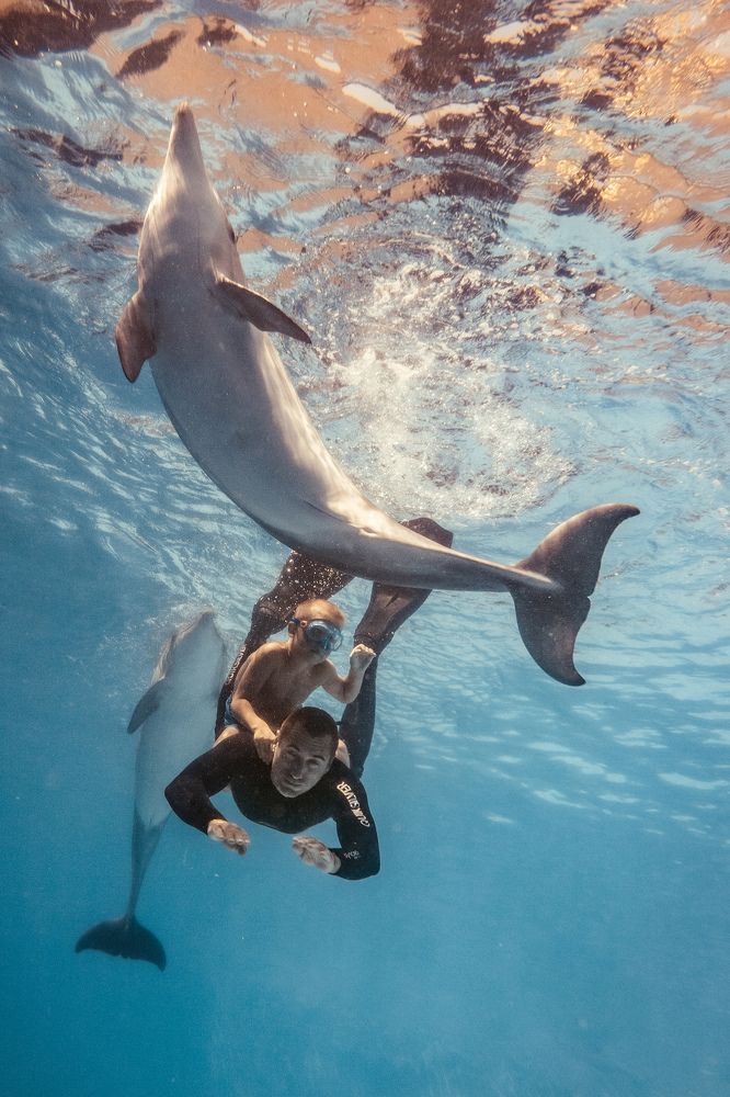 Вместе веселей!