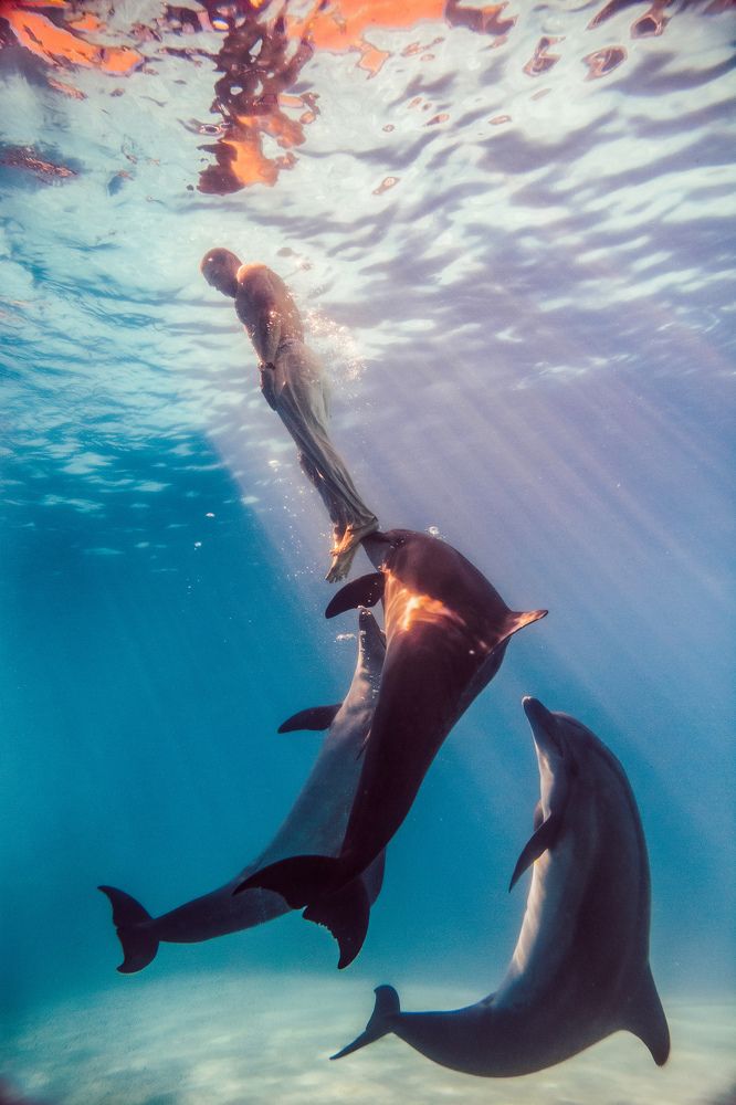 Готовность