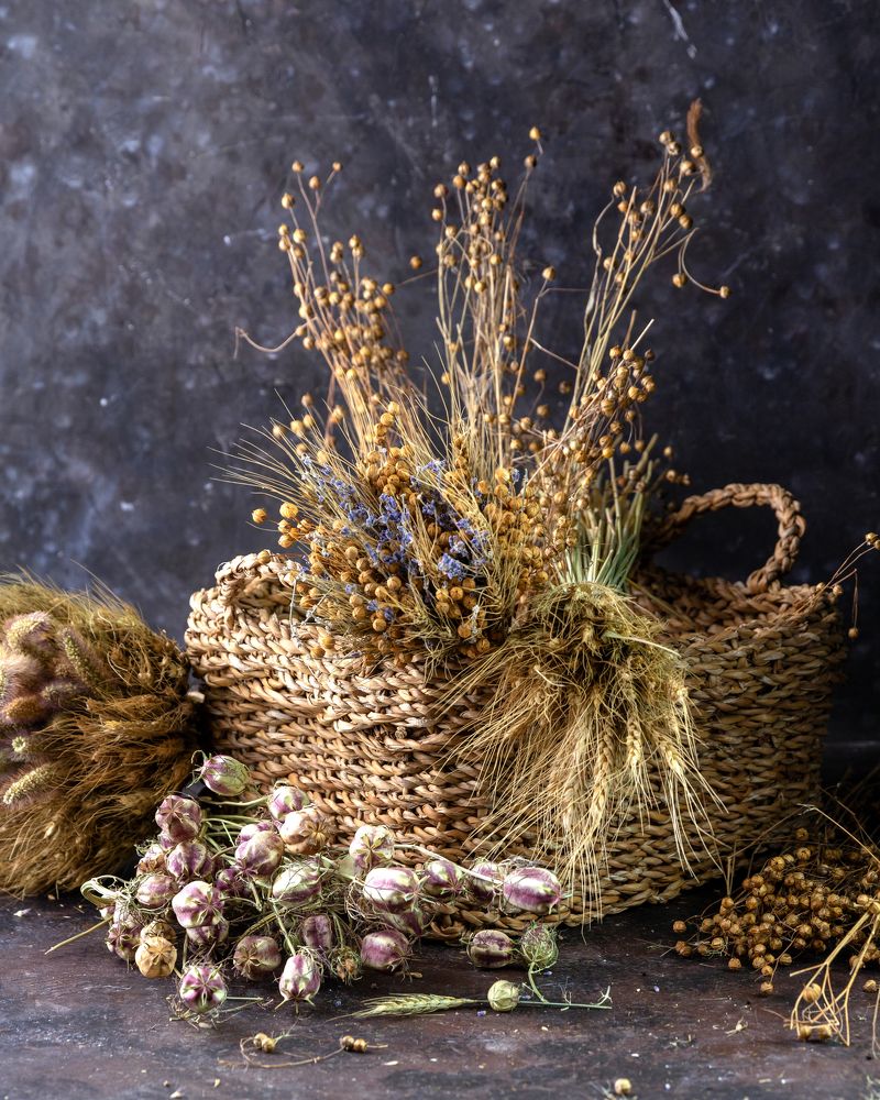 Фотография автора Дмитрий Герц