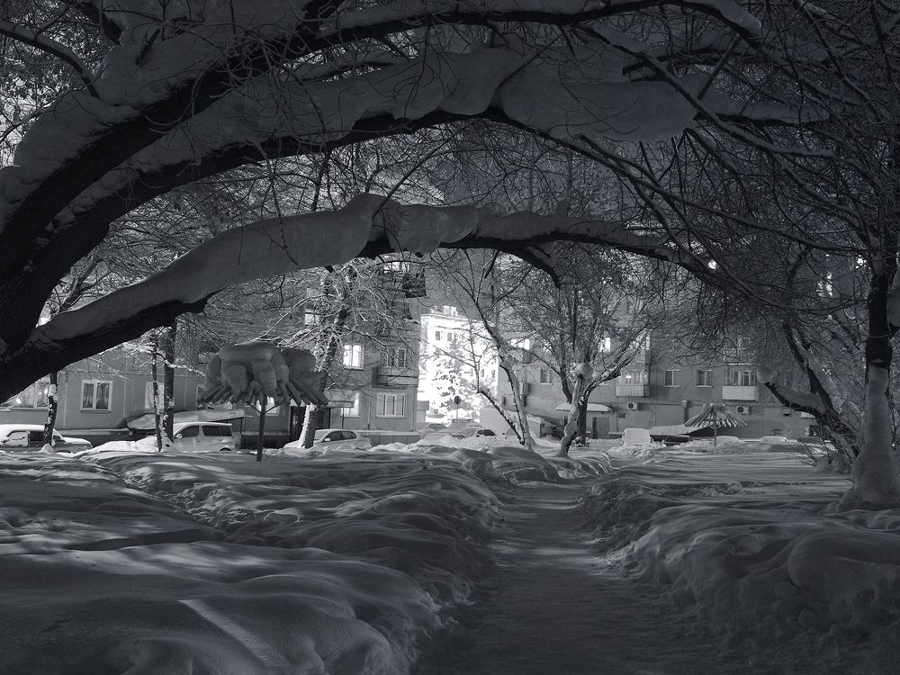 Photograph by Олег Тетерин