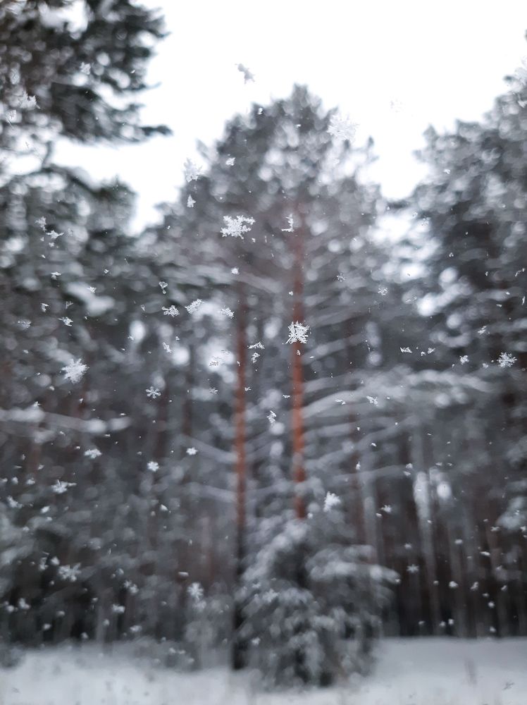 Photograph by Мария Глотова