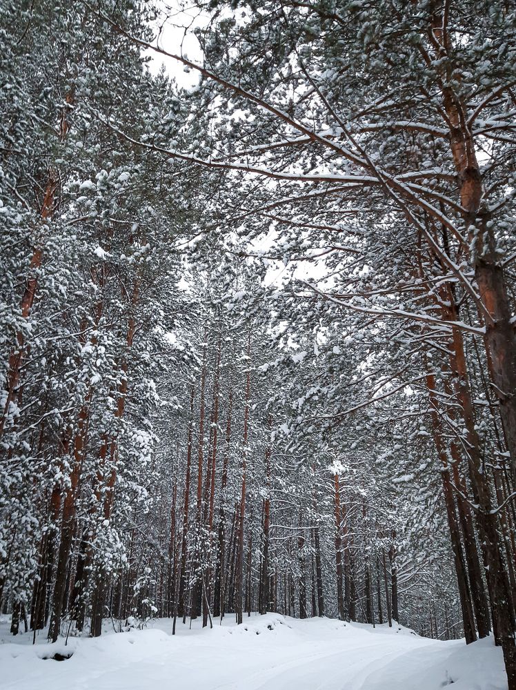 Photograph by Мария Глотова