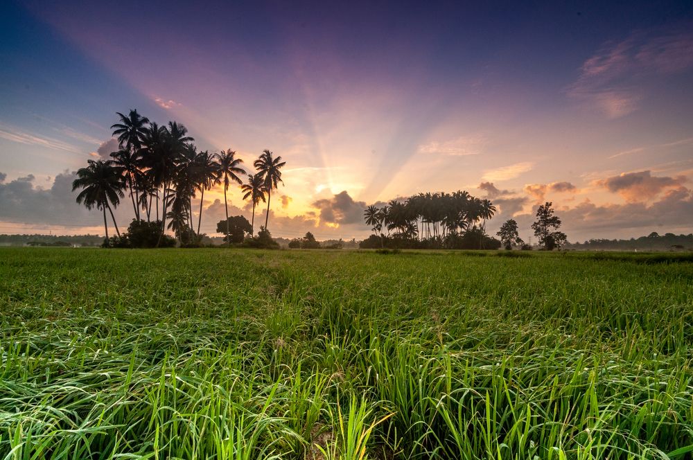 Photograph by Muhammad adha Abd ganhi