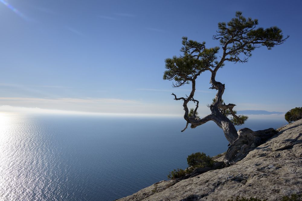 Photograph by Будаква Сергей