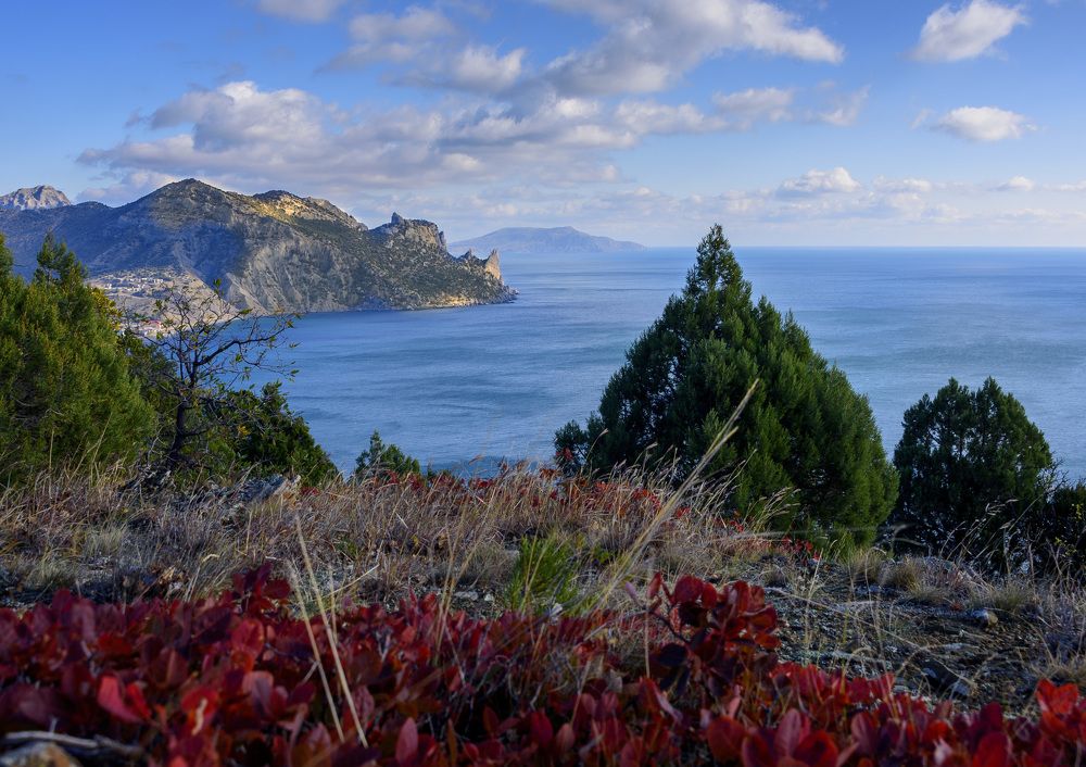 Photograph by Будаква Сергей