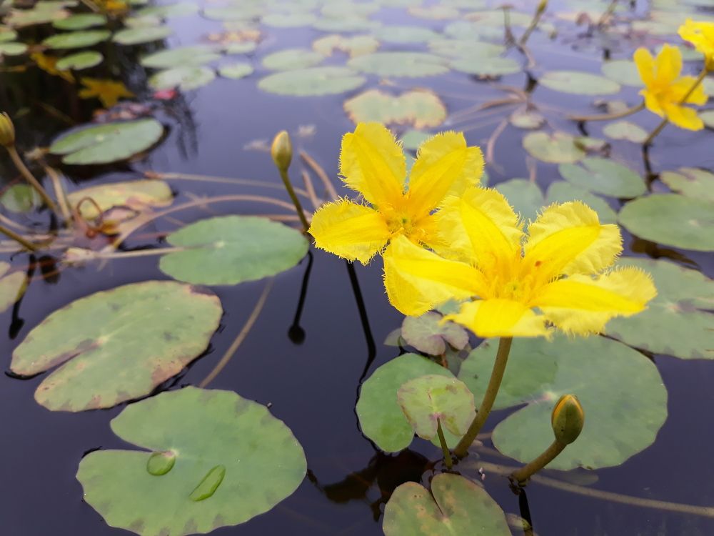 Photograph by Андрей Шахно