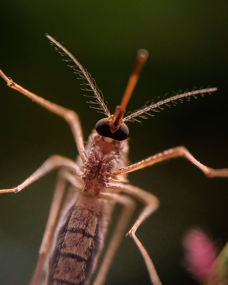 Photograph by Parvathy