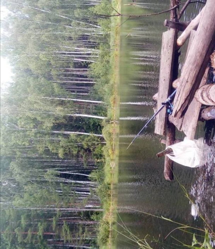 Photograph by Рустем Абубакиров