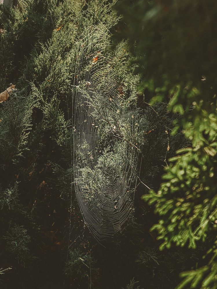 Photograph by Марина Беликова