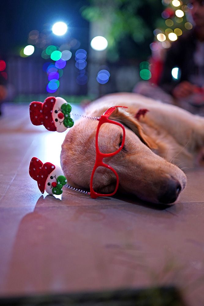 Photograph by Jignesh Chavda