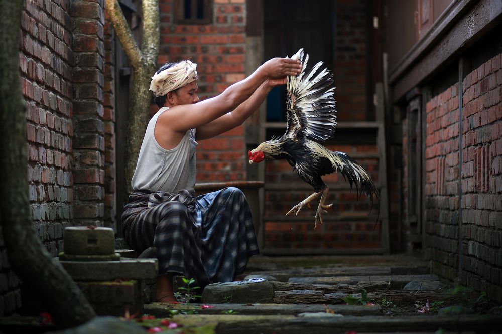 Photograph by Abdullah Deen Mohd. Zain