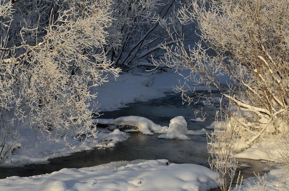 Художества зимы