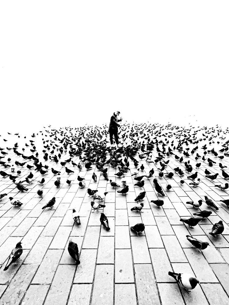 Gobble gobble gobble